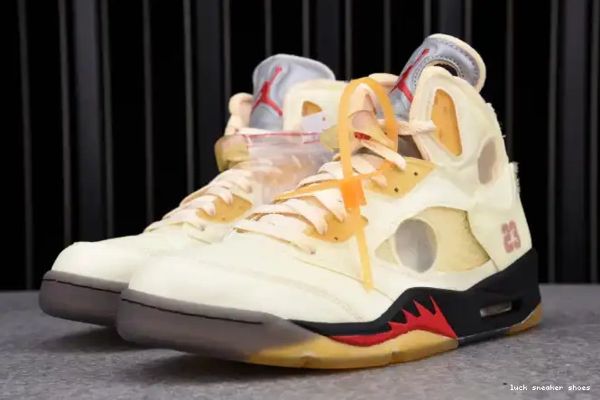 Reps LUCY 5 Jordan Retro DH8565-100 OFF-WHITE Sail 0624